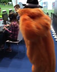 480x600