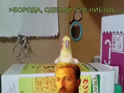960x720