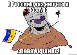 600x430