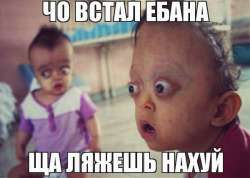 600x429
