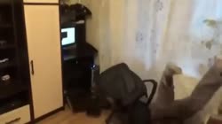 640x360