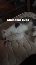 640x1136