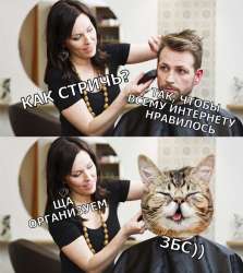 524x585