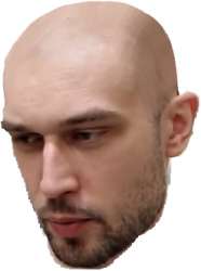247x331