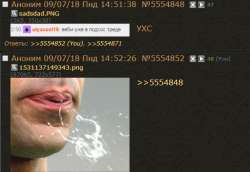525x363