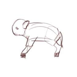 500x500