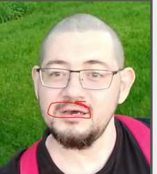 390x431
