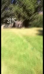 640x1080