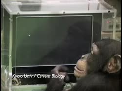320x240