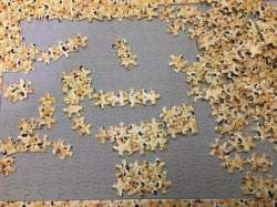 600x450