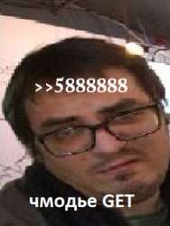 243x323