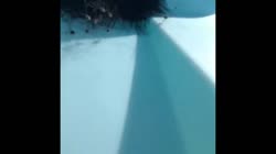 640x360