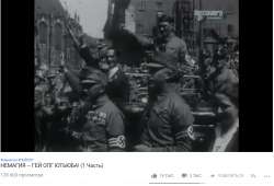 1153x788