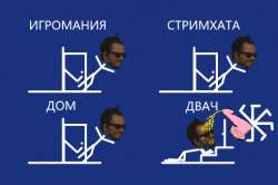 509x338