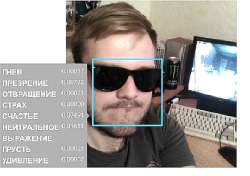 1174x830