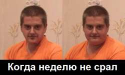 496x300