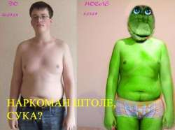 592x441