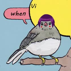 520x520