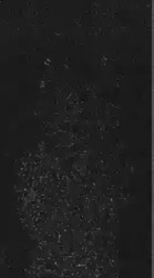 268x480