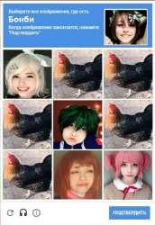 393x570
