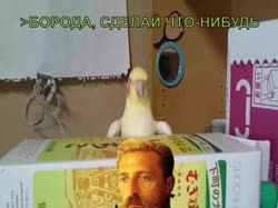 960x720