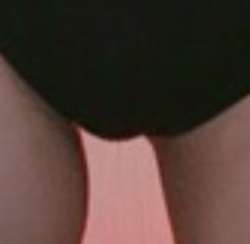 293x286