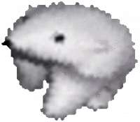 200x175