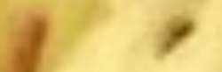 426x141
