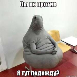 600x600