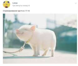 537x461