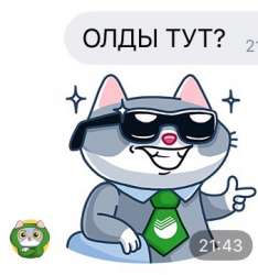 338x361