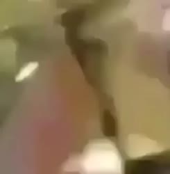 354x360