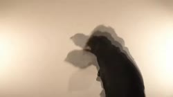 640x360