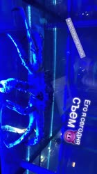 640x1136