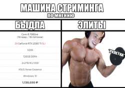 1235x873