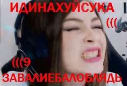 335x227