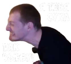 500x448