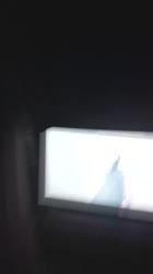 540x960