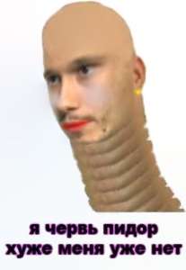 532x768