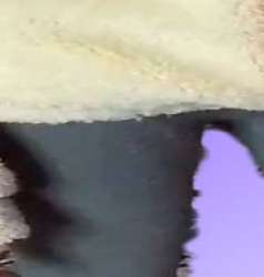 298x313