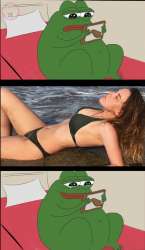 556x956