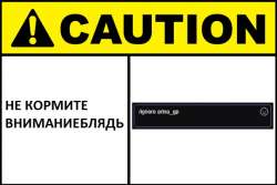 604x404
