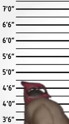540x960