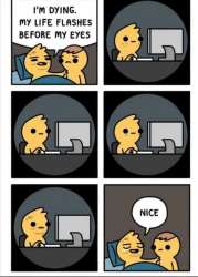 460x640