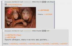 720x465