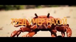 1280x720