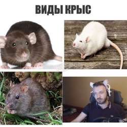 600x600