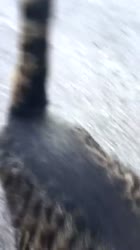 540x960