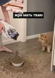 340x474