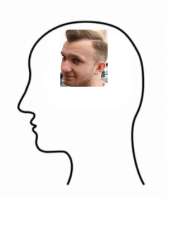 335x447
